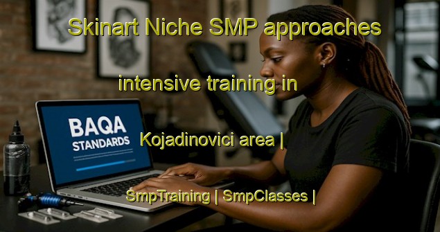 Skinart Niche SMP approaches intensive training in Kojadinovici area | SmpTraining | SmpClasses | SkinartTraining-Serbia
